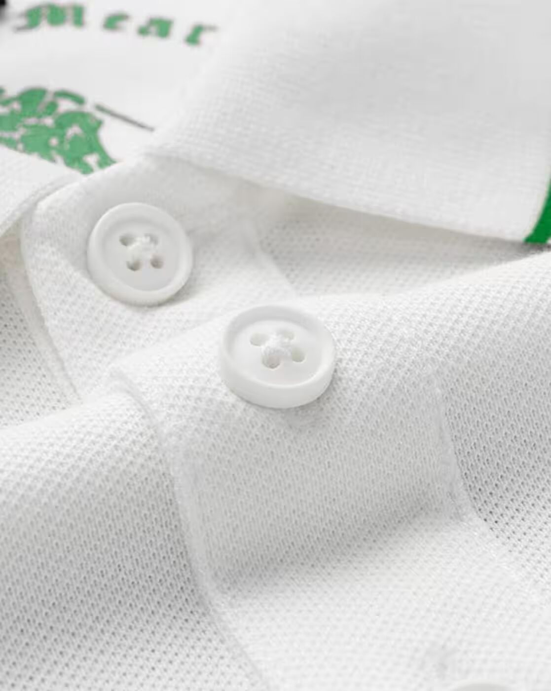 Buy White Polo T-Shirt with Green Piping Collar